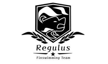 マスターズ,藤沢市,水泳協会,神奈川県,Kanagawa,Masters,大会,競泳, 自由形,フリー,バタフライ,平泳ぎ,背泳ぎ,ブレスト,バック, 個人メドレー, 水泳教室, レッスン, クラス, モノフィン, ビーフィン, 水中, フィンスイム, mono, CMAS, Jビーフィン, fin, Free, Back, Breast, Fly, medley, Regulus, レグルス