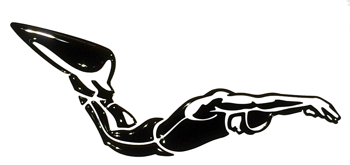 Finswim,マスターズ,藤沢市,水泳協会,神奈川県,Kanagawa,Masters,大会,競泳, 自由形,フリー,バタフライ,平泳ぎ,背泳ぎ,ブレスト,バック, 個人メドレー, 水泳教室, レッスン, クラス, モノフィン, ビーフィン, 水中, フィンスイム, mono, CMAS, Jビーフィン, fin, Free, Back, Breast, Fly, medley